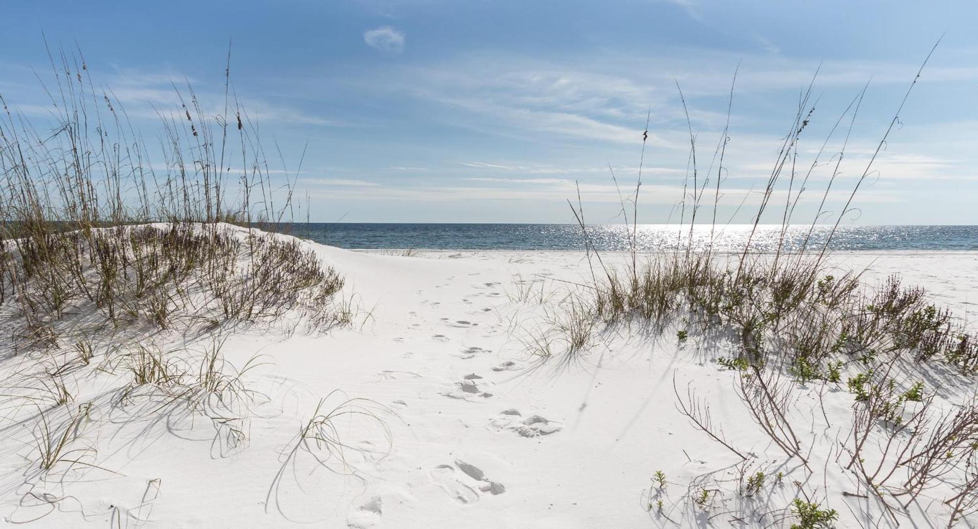 Nautilus Unit 2407 Villa Fort Walton Beach Exteriör bild