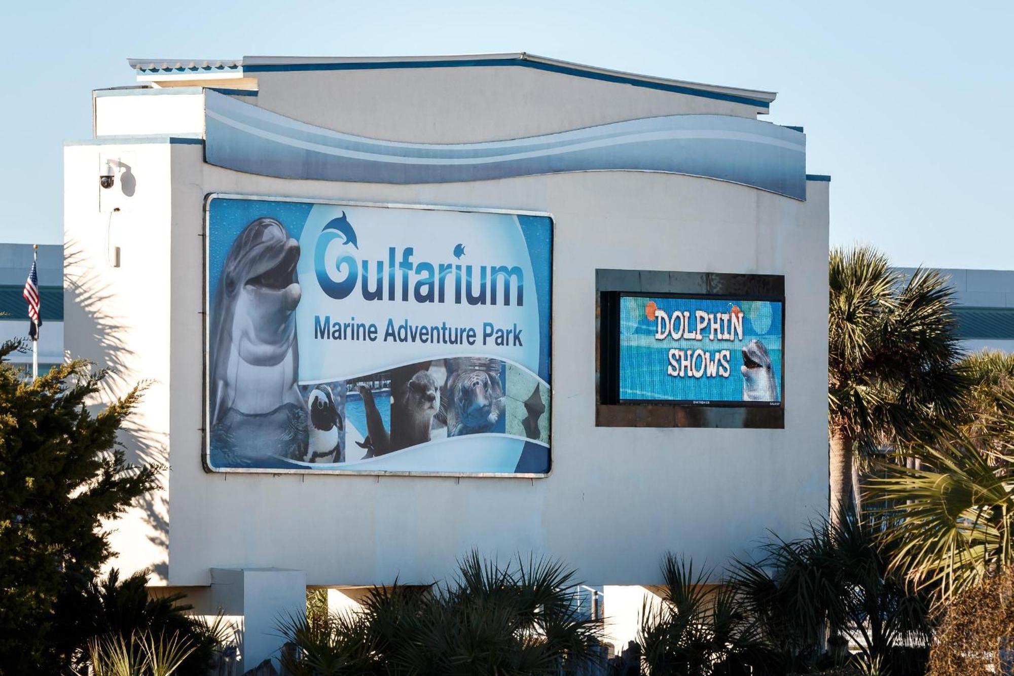 Nautilus Unit 2407 Villa Fort Walton Beach Exteriör bild