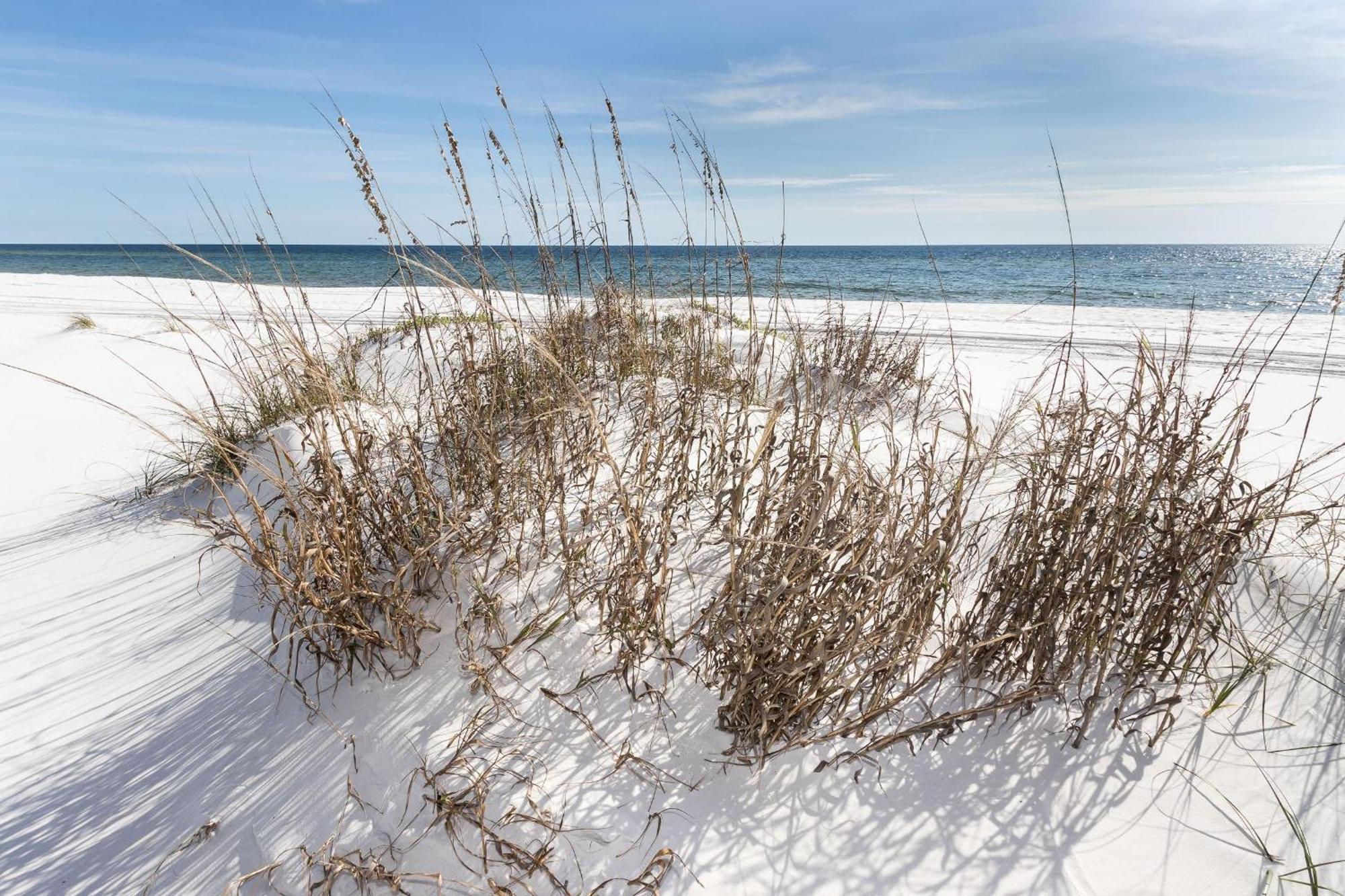 Nautilus Unit 2407 Villa Fort Walton Beach Exteriör bild